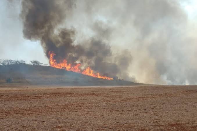 PF abre 31 inquéritos sobre incêndios no país