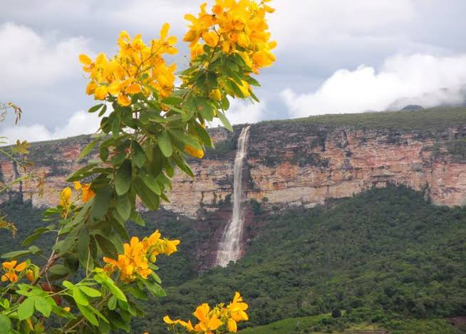 Reservas ambientais preservam mais de mil hectares de natureza em Barra da Estiva, Iramaia e Jacobina da região da Chapada Diamantina