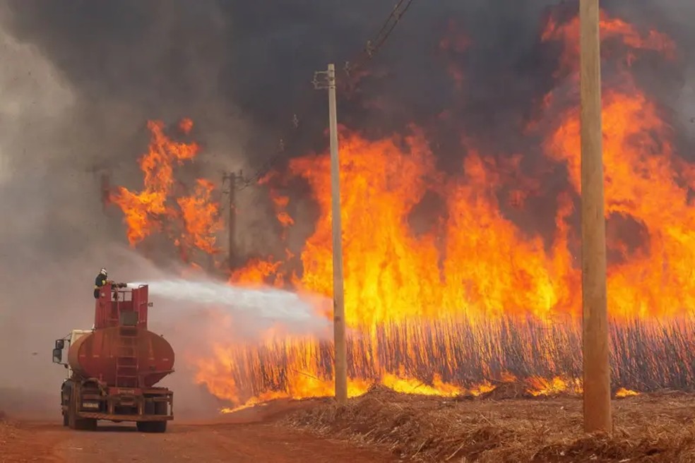 Sobe para sete o número de presos por suspeita de incêndios criminosos