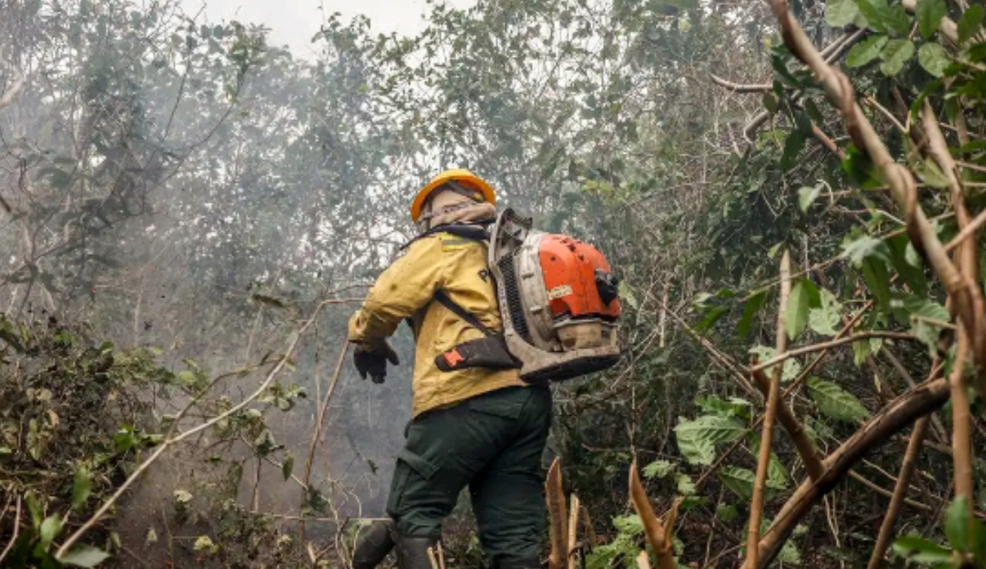 Municípios na Amazônia recebem reforço contra queimadas e incêndios