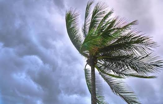 Inmet emite novo alerta e 145 cidades baianas têm risco de vendaval; Ibicoara, Barra da Estiva, Andaraí, Lençóis e Mucugê está da lista